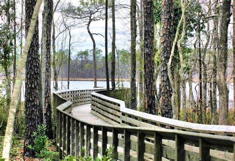 Tarkiln bayou state park. Things To Know About Tarkiln bayou state park. 
